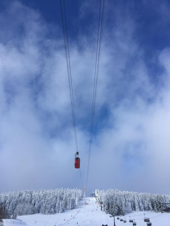 & Fichtelberger Blick Oberwiesenthal